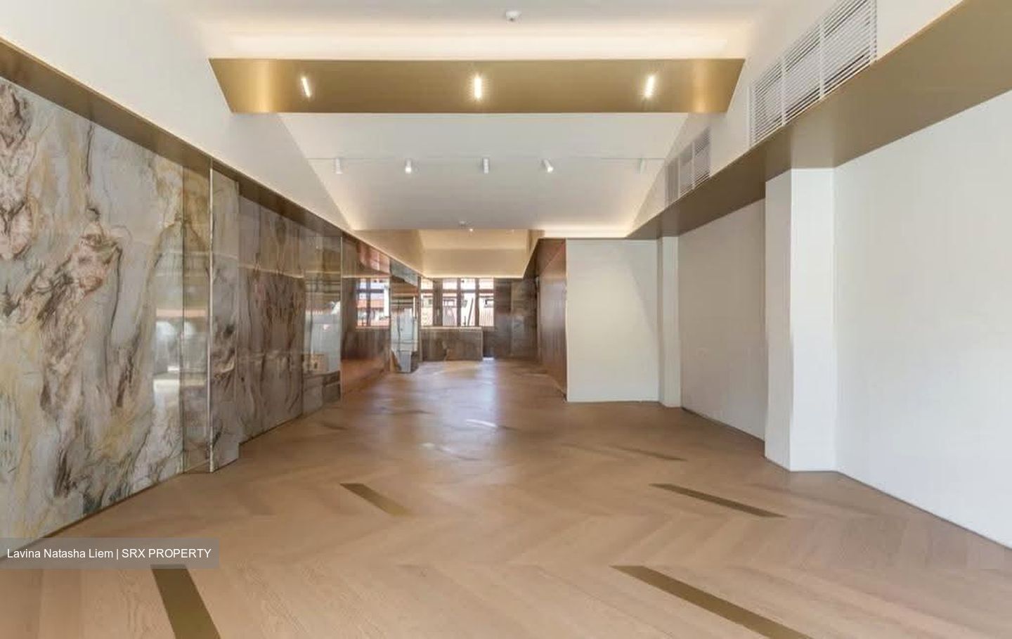 Lex Loci (D1), Shop House #626568011